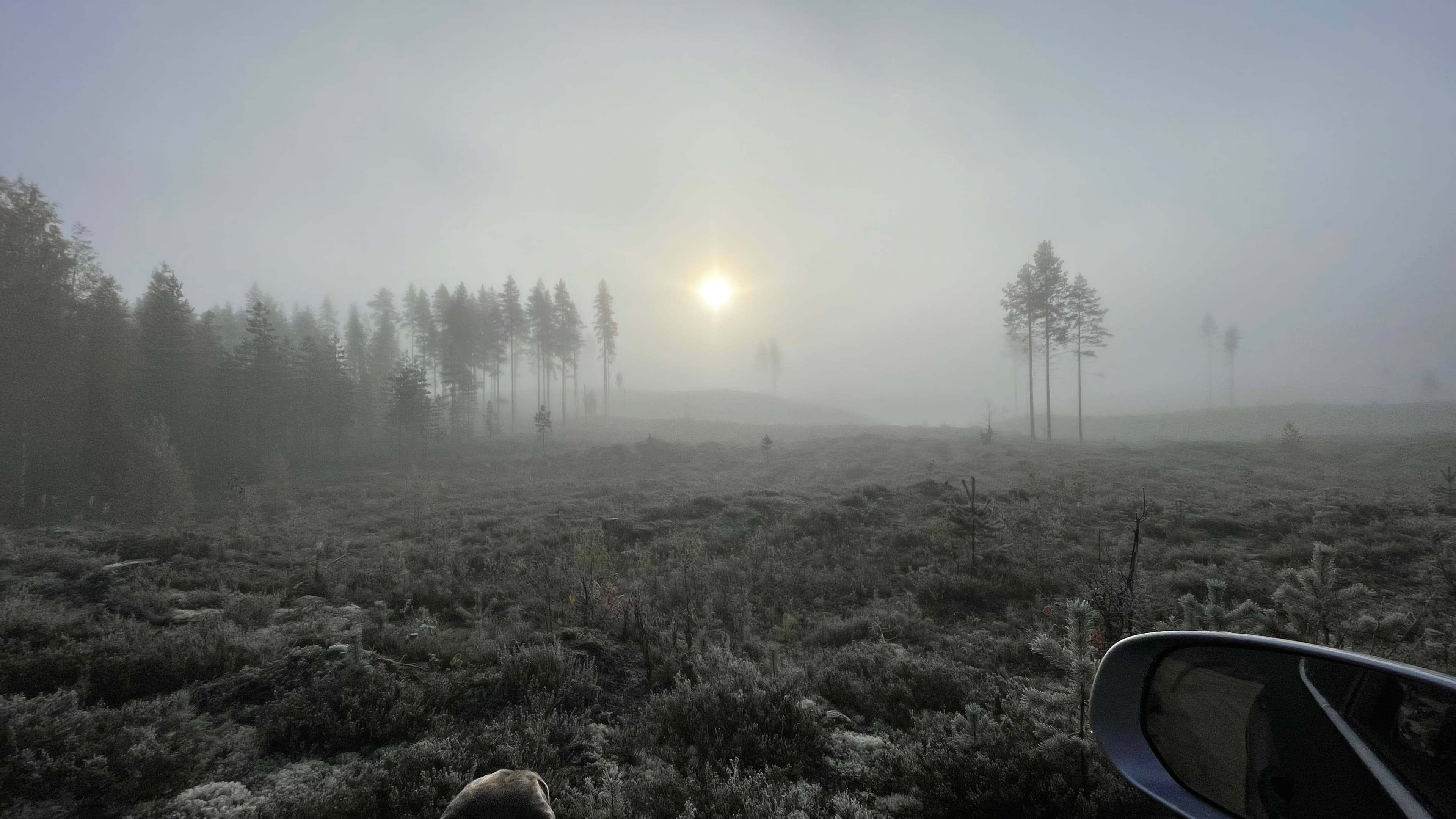 Metsästys ja kalastus